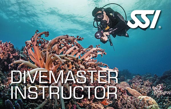 Dive Master Instructor